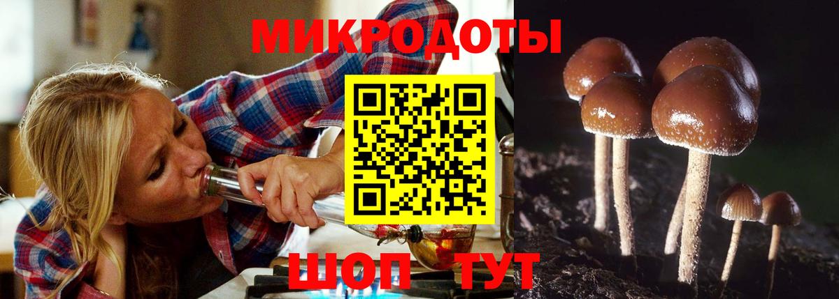 Котовск  Галлюциногенные грибы мицелий  Псилоцибиновые грибы Magic Shrooms  Вход с VPN 